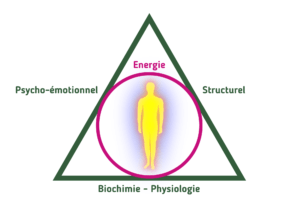 Kinésiologie Triangle de la santé