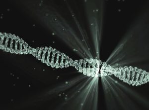 CellRelease ADN